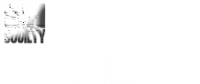 logo-2 logo-2